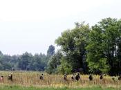 Migrants réfugiés mots frontières bien définies