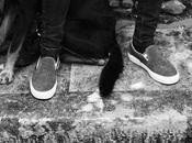 Vans hook 2015 slip-on