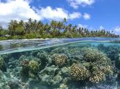 Océan pour climat. L’océan, grand absent Conférence Paris