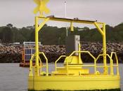 grande bouée capable produire quatre types d'énergies différentes