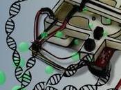 diagnostic infections fait temps record smartphone