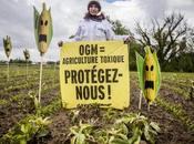 paradoxe européen face