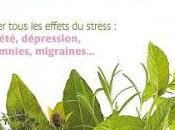 meilleures plantes anti-stress