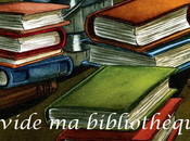 Challenge vide bibliothèque