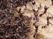 Partir droite gauche