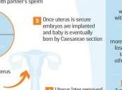 GREFFE l'UTÉRUS: l'infertilité féminine absolue? Womb Transplant