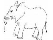 dessin elephant