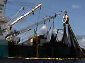 cache derrière Petit navire