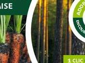 Plantez arbres dans Landes