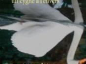 Sansonnets, cygne l'envers