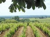 gabegie sans fin. Bordeaux-Toulouse Bordeaux-Dax cumulent oppositions