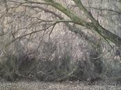 Youcef Korichi expose Bourg-la-Reine (92)