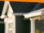 personnes âgées testent maisons connectées