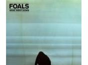 Foals What Went Down, réussite totale