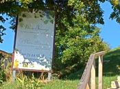 J’ai testé semaine cure détox Pensée Sauvage