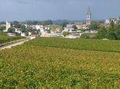 Visite Troplong Mondot (Saint Emilion)