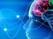 NEURO: taille cerveau fait Q.I. presque Neuroscience Biobehavioral Reviews