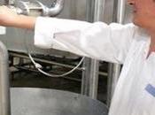 Filière lait: décentralisation prochaine l'opération paiement primes subvention