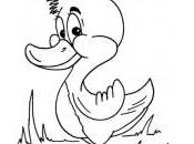 dessin canard