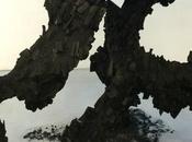 Yuhsin Chang Terrasse, espace d'art Nanterre (92)