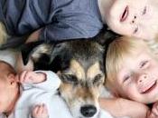 PERSONNALITÉ: rang naissance finalement d'importance PNAS