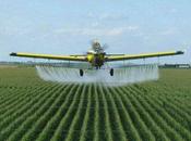 dégâts environnementaux l’agriculture intensive