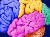 MÉMOIRE: réseau cerveau reconnaît nouveau déjà Trends Cognitive Sciences