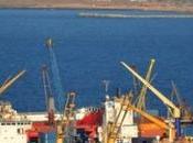 prévoit décret exécutif licences d'importation