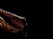 Parfums Marly, l’élégance chevaux course