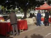 516- Derniers jours SILA Alger