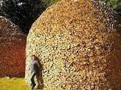 Divers façon ranger bois