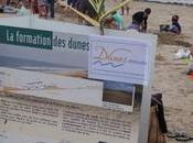 Dunes Attitudes poursuit actions, partenariat avec l'Université Rochelle, pourrait être place projet suivi l'évolution trait côtes l'ensemble l'île