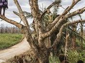 «Les changements climat mettent notre résilience économique danger»