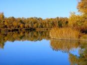 reflets l'eau