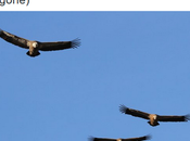 dénoncer ordures font leur beurre drame… #Fusillade #Paris #Bataclan