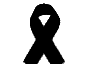 Après carnage Paris!