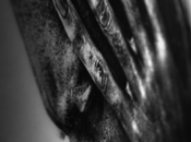 PHOTO Yellowkorner galerie d’une nouvelle génération collectionneurs