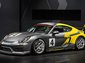 Cayman Clubsport