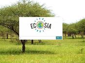 Leila vert contre tout: Ecosia, clic pour planète