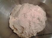 Pâte pizza farine Kamut thermomix sans