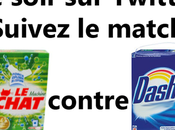 Brussels Lock Down, chats belges