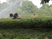 Victor Hugo, Tuileries