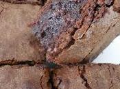 Brownie façon papi Brossard