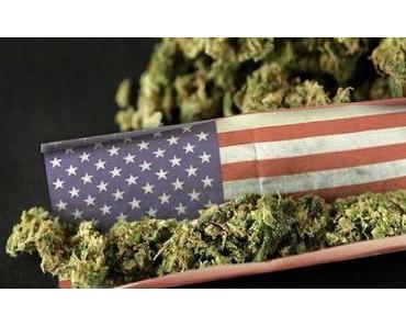 Légaliser le cannabis pour remettre à flot nos finances publiques
