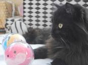 petits moments L'Avent.