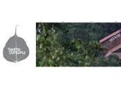 Théâtre Peuple BUSSANG année 2016