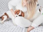 Christmas Idées Cadeaux Doudou chez Cache