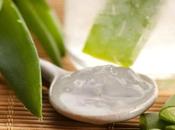 beauté d’Amina: l’aloe vera