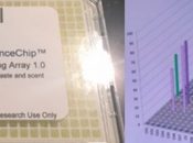 digitalisation odeurs goût transforme R&amp;D l’agroalimentaire