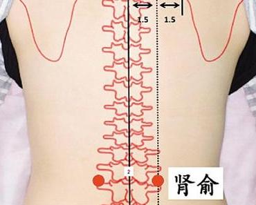 Le point Shen Shu du méridien de la vessie (23V)